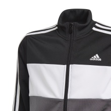 adidas Tracksuit Essentials Tricot (100% Polyester) black/white Boys